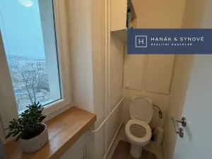 Pronájem bytu 2+1, Brno, Náplavka, 58 m2