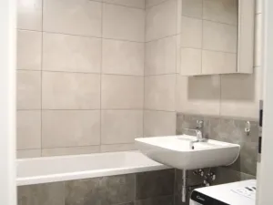 Prodej bytu 1+kk, Plzeň - Jižní Předměstí, Goldscheiderova, 39 m2