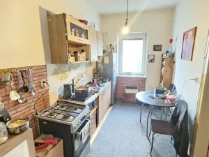 Prodej bytu 2+1, Dolní Poustevna, Sadová, 78 m2