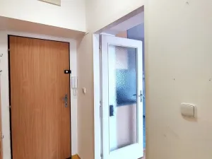 Pronájem bytu 1+kk, Benešov, Jiráskova, 30 m2