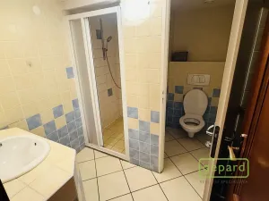 Pronájem kanceláře, Praha - Vinohrady, Bělehradská, 132 m2