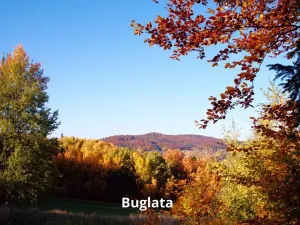 Prodej rodinného domu, Radošovice, 75 m2