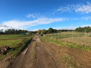 Prodej zahrady, Boršov nad Vltavou, K Pilotovi, 460 m2