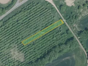 Prodej pole, Hoštice, 17754 m2