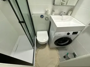 Pronájem bytu 2+kk, Praha - Nové Město, Sokolská, 23 m2