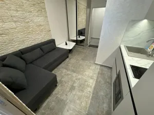 Pronájem bytu 2+kk, Praha - Nové Město, Sokolská, 23 m2