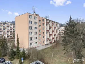 Pronájem bytu 1+1, Brno, Vavřinecká, 35 m2