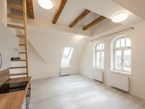 Pronájem bytu 1+kk, Liberec - Liberec III-Jeřáb, Americká, 53 m2