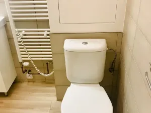 Pronájem bytu 2+1, Kutná Hora, Tyršova, 55 m2