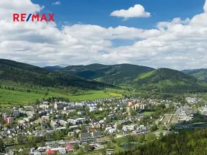 Prodej bytu 1+kk, Vrbno pod Pradědem, Žižkova, 55 m2