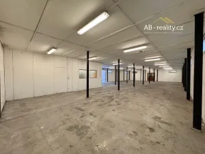 Pronájem skladu, Novosedlice, Vrchoslavská, 274 m2
