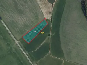 Prodej louky, Kobylice, 3179 m2