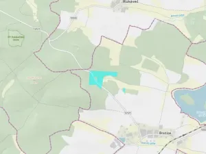 Prodej lesa, Branice, 82524 m2