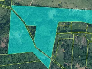 Prodej lesa, Branice, 82524 m2