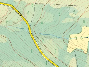 Prodej lesa, Branice, 82524 m2