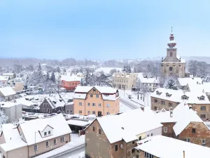 Prodej činžovního domu, Jeníkov, 509 m2