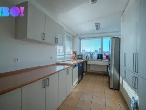 Prodej bytu 2+kk, Brno, Palackého třída, 50 m2