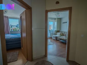 Prodej bytu 2+kk, Brno, Palackého třída, 50 m2