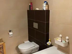 Pronájem bytu 2+kk, Liberec, Horská, 55 m2