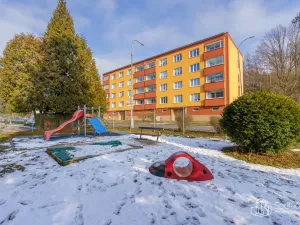 Prodej bytu 3+1, Sokolov, Závodu míru, 76 m2