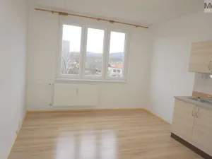 Pronájem bytu 1+1, Chomutov, Matěje Kopeckého, 36 m2