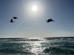 Prodej bytu 2+kk, Alba Adriatica,Itálie, 42 m2