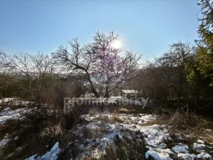 Prodej pozemku pro bydlení, Střelice, 1215 m2