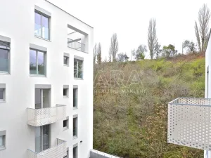 Pronájem bytu 2+kk, Praha - Žižkov, Hartigova, 39 m2