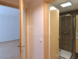 Pronájem bytu 2+kk, Praha - Žižkov, Hartigova, 39 m2