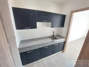 Pronájem bytu 1+kk, Opava - Kateřinky, Holasická, 25 m2