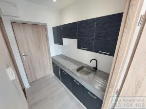 Pronájem bytu 1+kk, Opava - Kateřinky, Holasická, 25 m2
