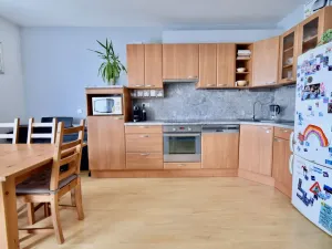 Pronájem bytu 4+kk, Brno - Bystrc, Říčanská, 95 m2