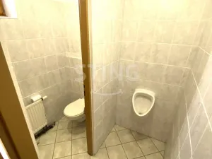 Pronájem obchodního prostoru, Mohelnice, U Brány, 270 m2