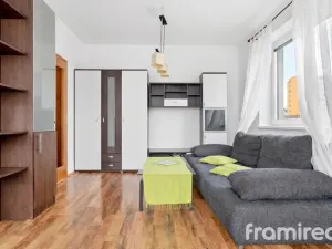 Pronájem bytu 1+kk, Brno, Čeňka Růžičky, 42 m2