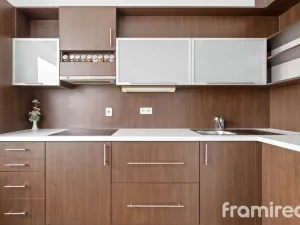 Pronájem bytu 1+kk, Brno, Čeňka Růžičky, 42 m2