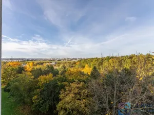 Prodej bytu 4+1, Praha - Háje, Hekrova, 79 m2