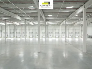 Pronájem výrobních prostor, Ostrava - Vítkovice, 15000 m2