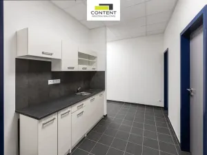 Pronájem výrobních prostor, Ostrava - Vítkovice, 15000 m2