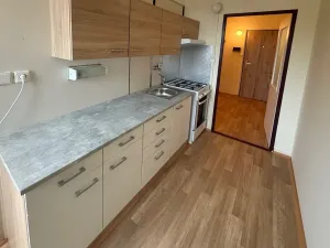 Pronájem bytu 1+1, Třemošná, Sídliště, 40 m2
