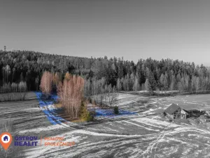 Prodej pozemku pro bydlení, Česká Čermná, 4310 m2