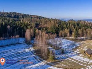 Prodej pozemku pro bydlení, Česká Čermná, 4310 m2