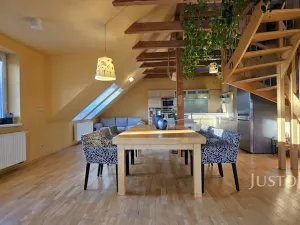 Prodej bytu 5+kk, Písek, Budějovická, 182 m2