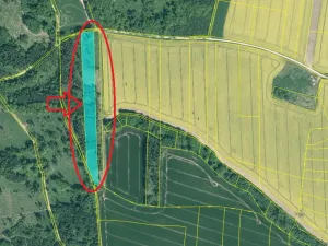 Prodej podílu lesa, Vlastec, 2339 m2