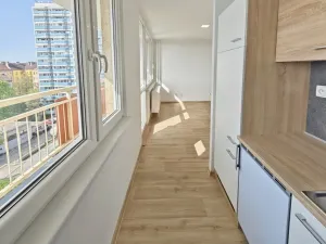 Pronájem bytu 1+kk, Pardubice - Zelené Předměstí, Palackého třída, 36 m2