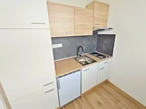 Pronájem bytu 1+kk, Pardubice - Zelené Předměstí, Palackého třída, 36 m2