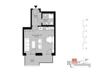 Prodej bytu 1+kk, Praha - Vysočany, Fafkových, 31 m2
