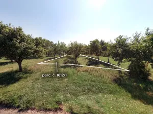 Prodej sadu/vinice, Svatobořice-Mistřín, 1492 m2