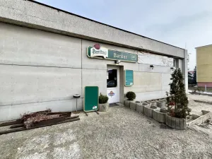 Pronájem restaurace, Sokolov, Gagarinova, 166 m2