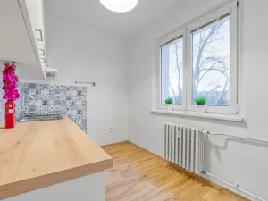 Pronájem bytu 2+1, Ostrava - Hrabůvka, Provaznická, 56 m2