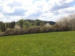 Prodej pozemku, Vítkov, 5357 m2